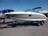 2007236 - CHAPARRAL 236 SSX OPEN BOW
