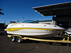 2005236 - CHAPARRAL 236 SUNESTA